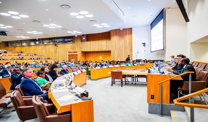 NITDA DG Champions AI Sovereignty, Inclusive Development At Global Dialogue 1 NITDA UNGA 3